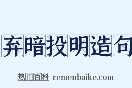 弃暗投明造句是什么意思的图片